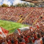 Vicenza Calcio copia